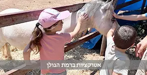 ילדים מלטפים סוס לבן ברמת הגולן